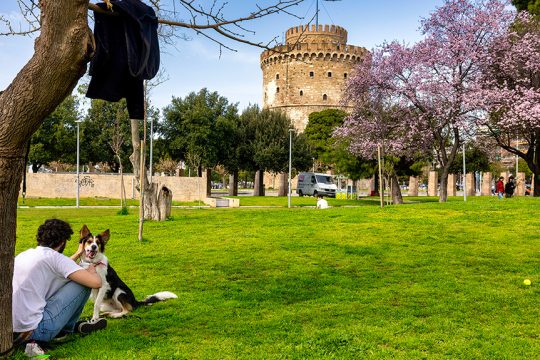 Εμβληματική η αντίσταση των καλλιτεχνών